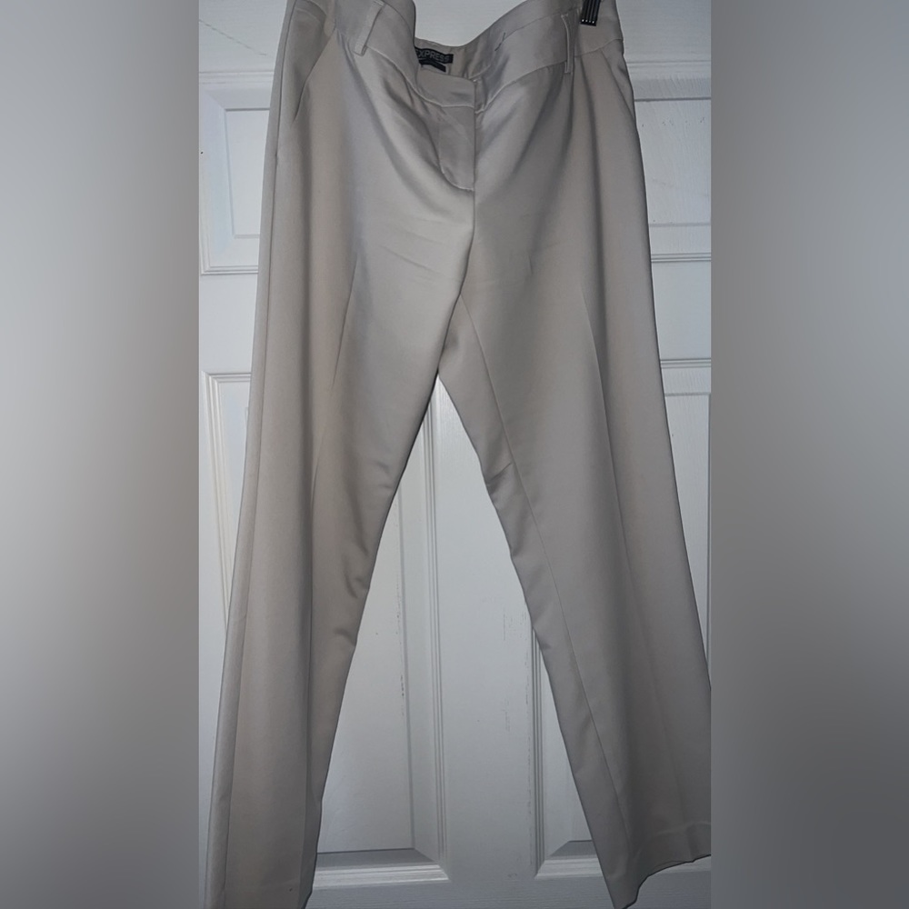 Express Columnist Tan Pant Slack 10R